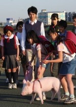 對生命的省思 —《和豬豬一起上課的日子》